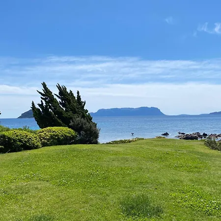 Apartament Luxury Elicriso Sea View With Common Swimming Pool Just 100 Mt From The
